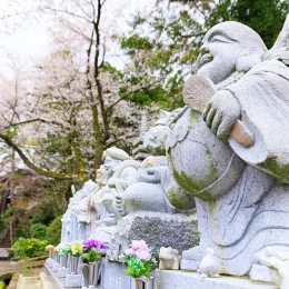 春の画像