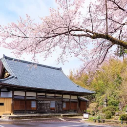 春の画像