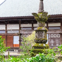春の画像