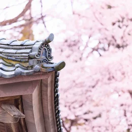 春の画像