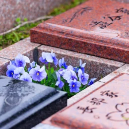 春の画像