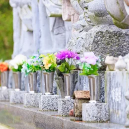 春の画像