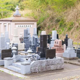 春の画像