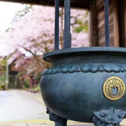 春の画像